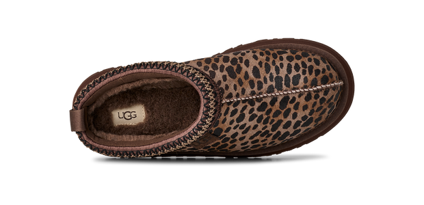 UGG AUSTRALIA W TAZZ CASPIAN BCDR